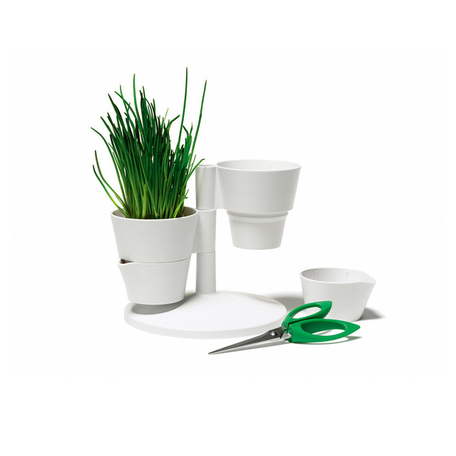 Plant Potter Decor